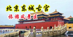 欧美大黑鸡巴猛插女人大穴中国北京-东城古宫旅游风景区